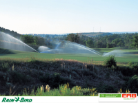 ERB GaLaBau GmbH - RainBird.....png