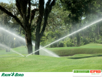 ERB GaLaBau GmbH - RainBird....png