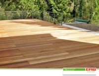 ERB GaLaBau GmbH -Holzdeck 01.jpg