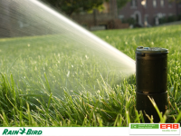 ERB GaLaBau GmbH - RainBird.png